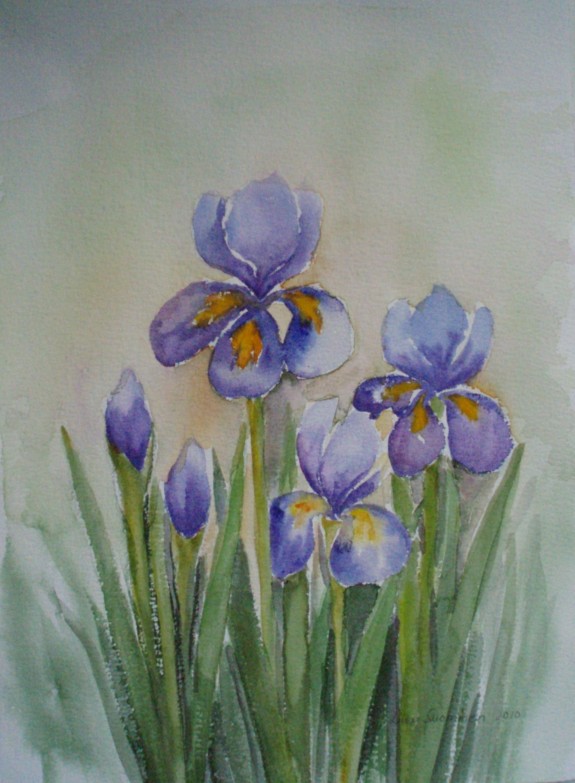 Irikset,36x26,2010