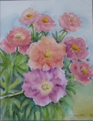 Pionit 36x27,2010